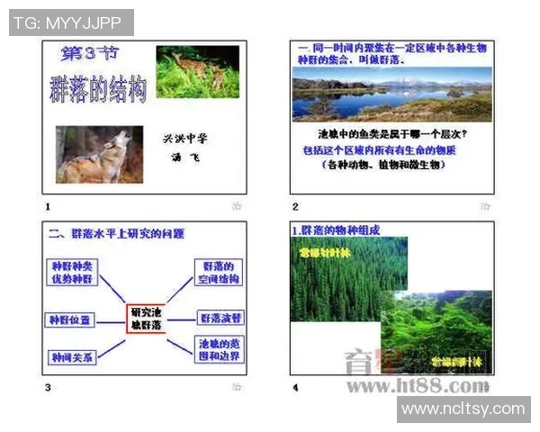 竞技体育项目的多样性与发展趋势探析及其对社会影响的深远影响