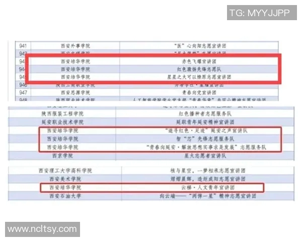 西安飞盘队配合表现深度分析与战术探讨