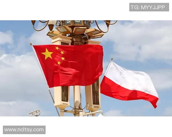 中国与波兰精彩对决完整版回放中文解说带你重温比赛每个精彩瞬间