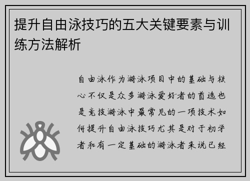 提升自由泳技巧的五大关键要素与训练方法解析