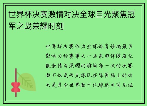 世界杯决赛激情对决全球目光聚焦冠军之战荣耀时刻
