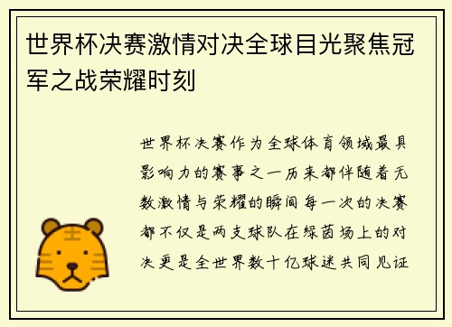 世界杯决赛激情对决全球目光聚焦冠军之战荣耀时刻